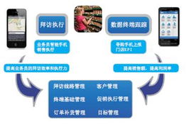 跨域协同 联通政企服务模式在闽晋两省的创新实践